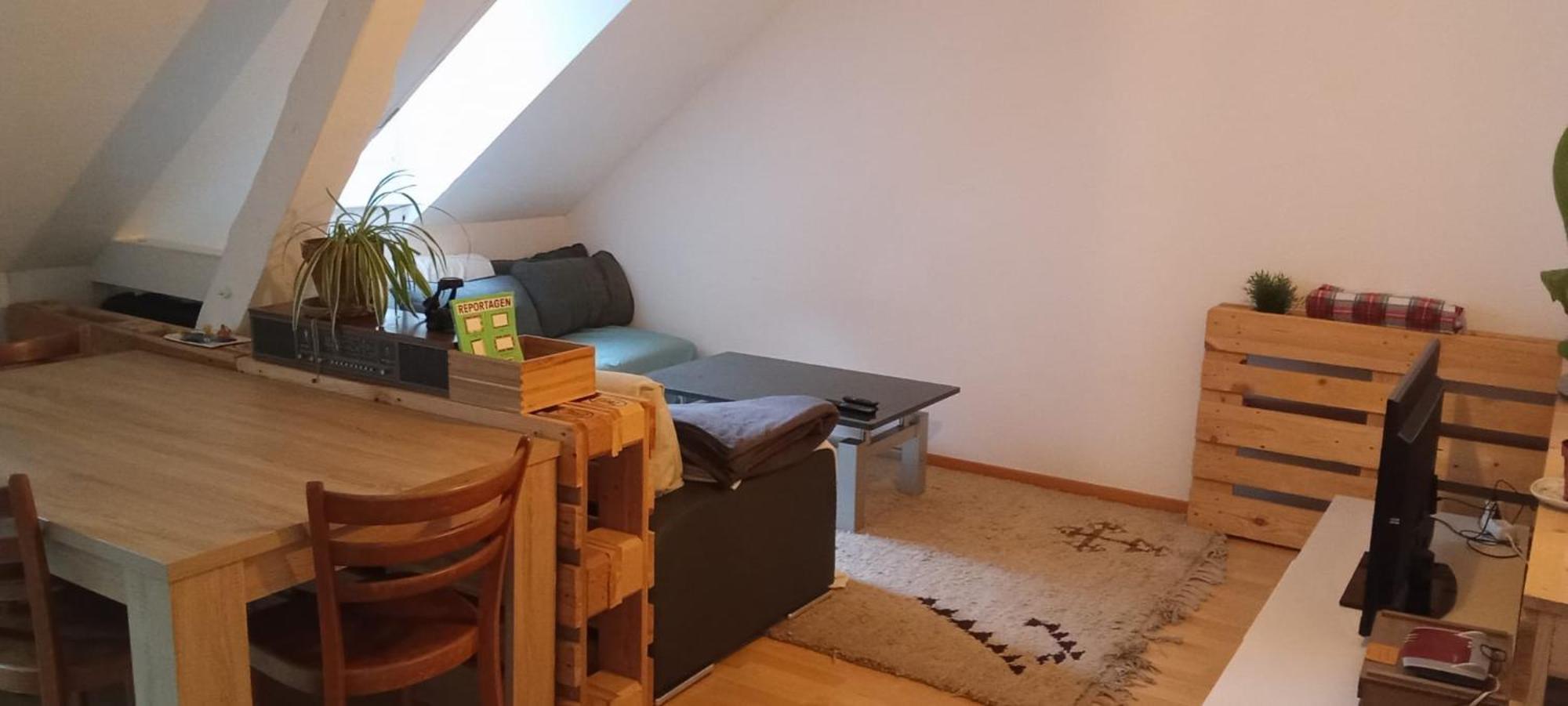 Gemuetliche Dachwohnung Sankt Gallen Eksteriør billede